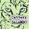 Salambo-oriental & siamese cats