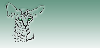 Ориентальные кошки питомника Salambo